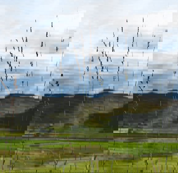 Deep connections with the Highlands