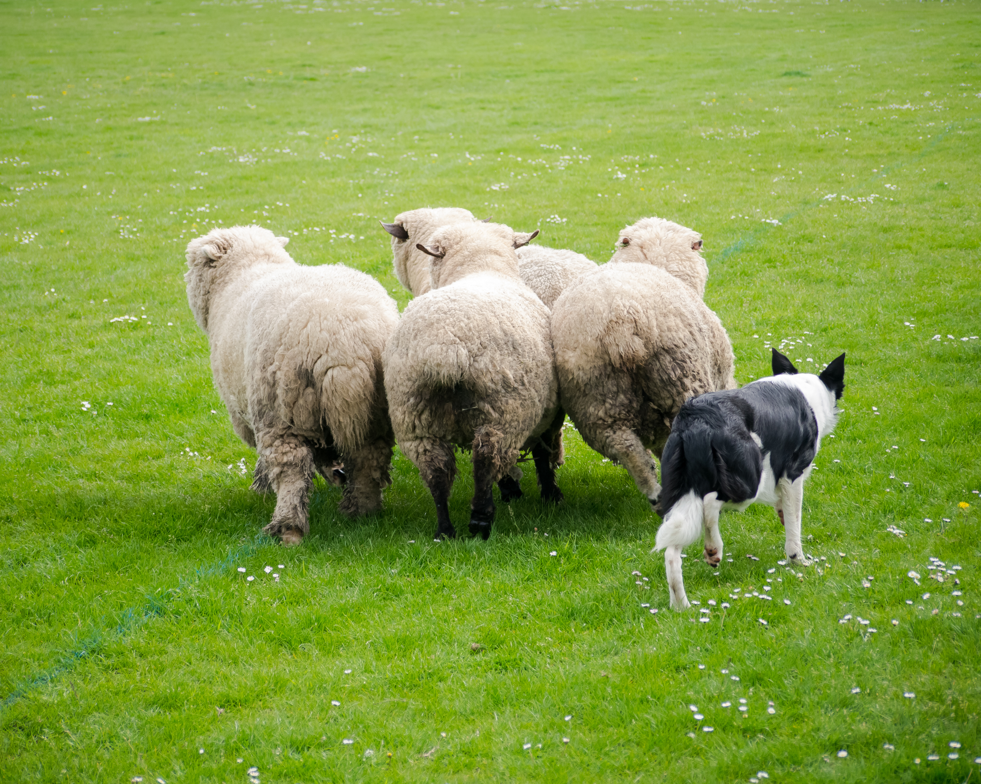 Leault Farm demonstration